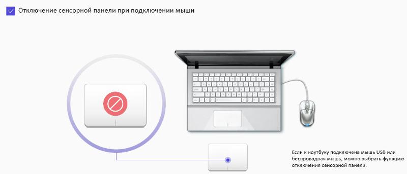 Почему баранину нельзя запивать холодной водой Почему баранину нельзя запивать холодной водой
