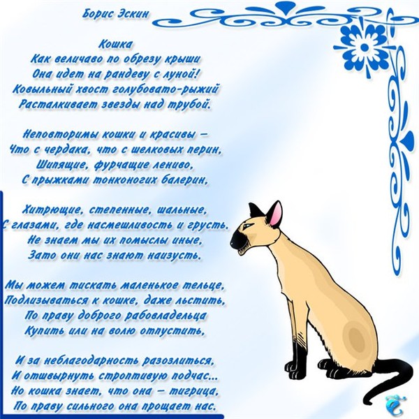Поздравления для кошки в стихах Поздравления для кошки в стихах