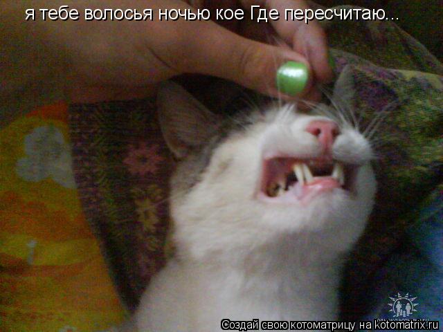 У хомяка нет верхних зубов У хомяка нет верхних зубов