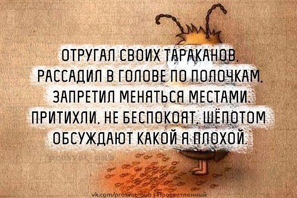По полкам статусы По полкам статусы