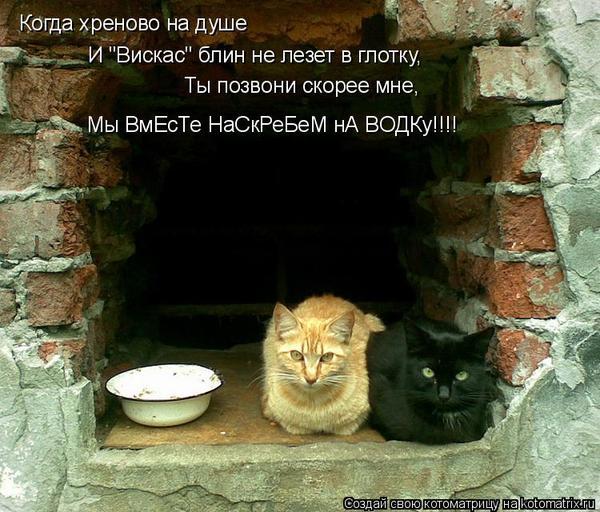 Что делать если на душе плохо после ссоры