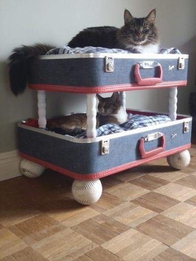 Из чего можно сделать котёнка Из чего можно сделать котёнка