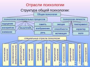 С какими отраслями психология связана психология С какими отраслями психология связана психология