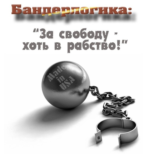 Мастер класс зинин Мастер класс зинин