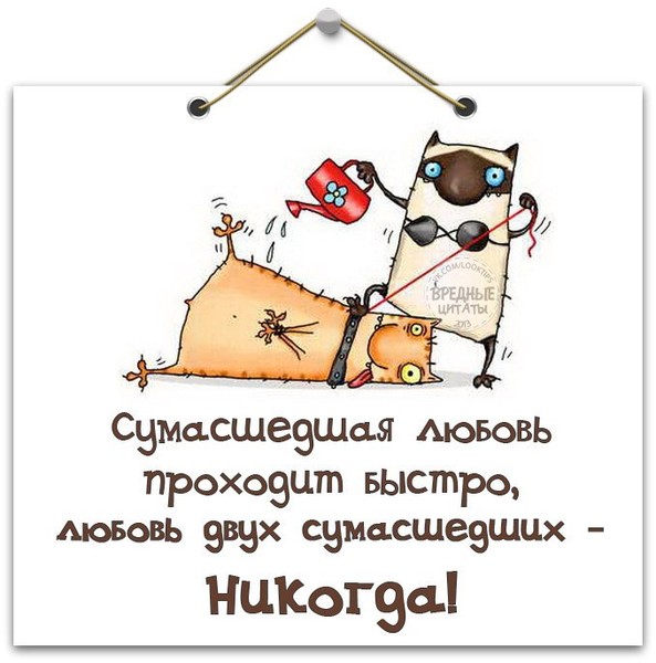 Статус о любви с юмором Статус о любви с юмором