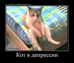 Посмеялся сам - поделись с другом!!!