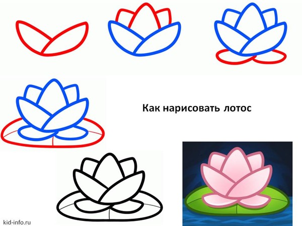 Как нарисовать кубышку поэтапно Как нарисовать кубышку поэтапно