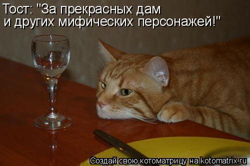Тост за дам или не дам Тост за дам или не дам