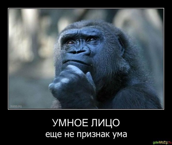 Как сделать гориллу Как сделать гориллу
