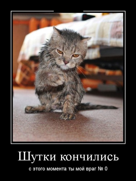 vse-konchaetsya-moy-drug vse-konchaetsya-moy-drug
