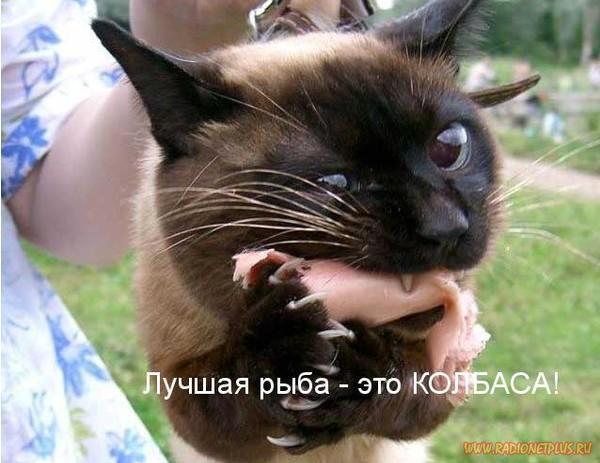 Зубы точит съесть нас хочет Зубы точит съесть нас хочет
