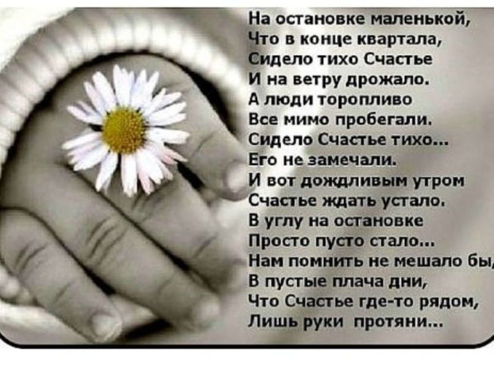 Стих про счастье женское короткие Стих про счастье женское короткие