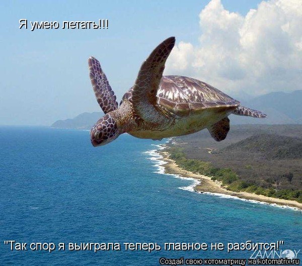 Смс с пожеланием хорошего полета Смс с пожеланием хорошего полета