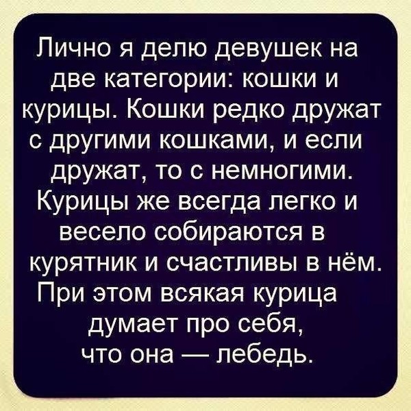 Прикольный и редкий статус Прикольный и редкий статус