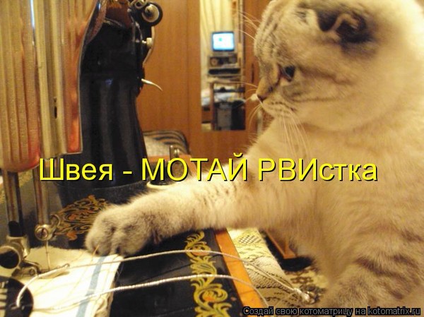 К чему снится что вырвали больной зуб К чему снится что вырвали больной зуб