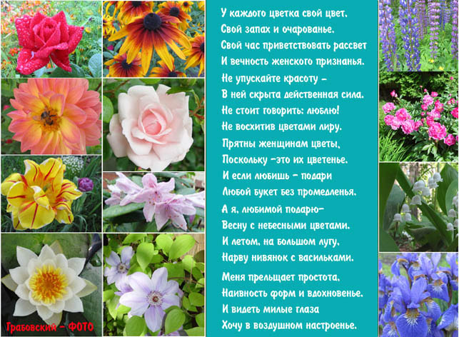 Сочинение я подарю тебе цветы Сочинение я подарю тебе цветы