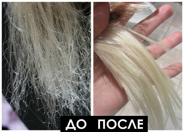 Подводный мир. - Форум о Черногории Модные стрижки волос для женщин. Короткие