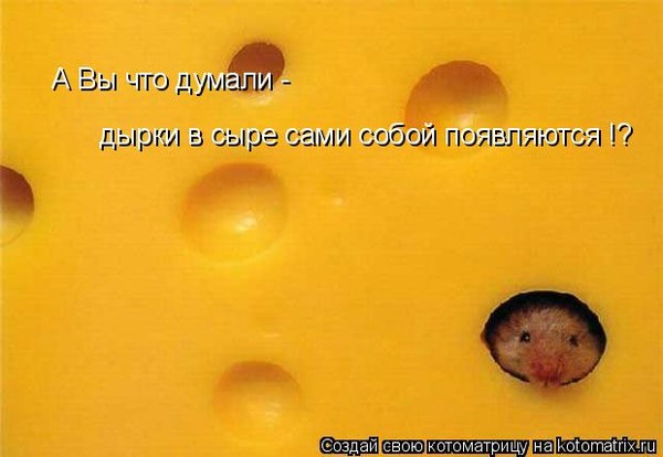 Почему в сыре дырки исследовательская работа Почему в сыре дырки исследовательская работа