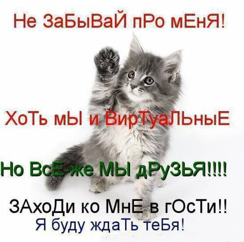 Открытка и кто это зашел 268