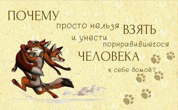 Я люблю свою лисичку стих Я люблю свою лисичку стих