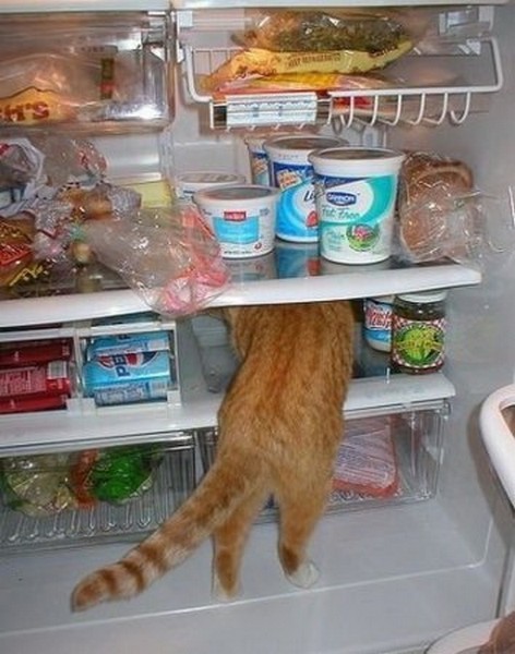 c5d90901e5545989eac9f02593c72982_i-119.j