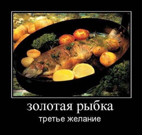 Есть в жизни золотая середина поздравление Есть в жизни золотая середина поздравление