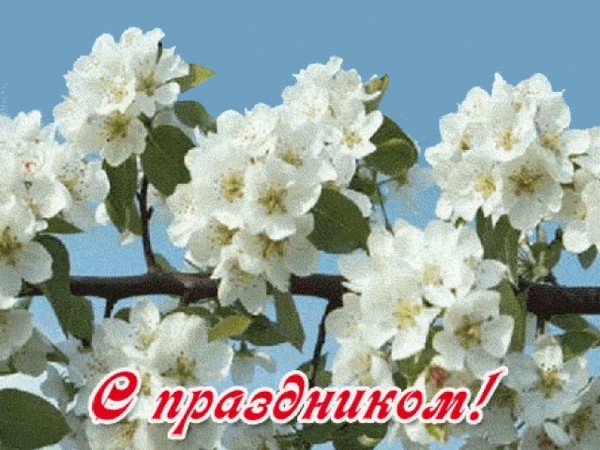 Конкурс компьютерной графики - ДЖР. ру Конкурс английской песни