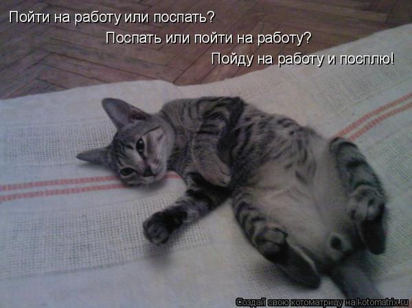 После чего мы ходим на работу После чего мы ходим на работу
