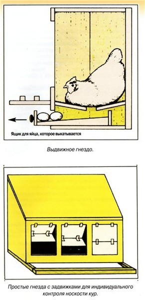 Гнездо для несения яиц своими руками