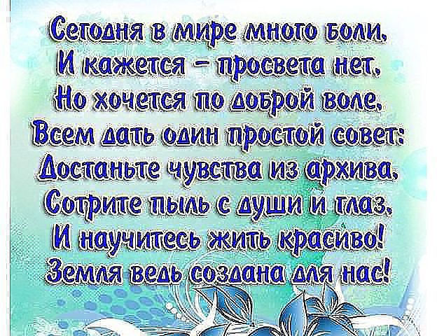 Смешные поздравления о мире Смешные поздравления о мире