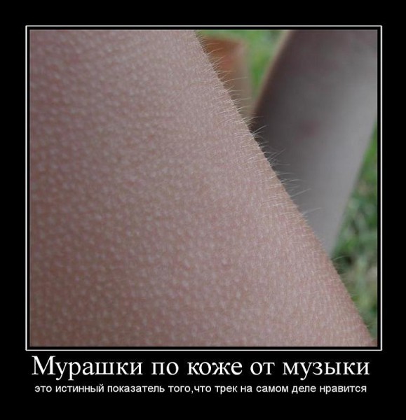 Как укрепить ногти в домашних условиях? Эффективные способы укрепления Как укрепить ногти в домашних условиях, общие принципы и рецепты