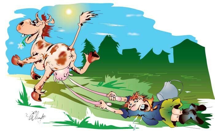 Угарный конкурс подои корову Угарный конкурс подои корову