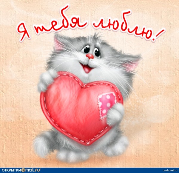 Любимый котенок открытки Любимый котенок открытки