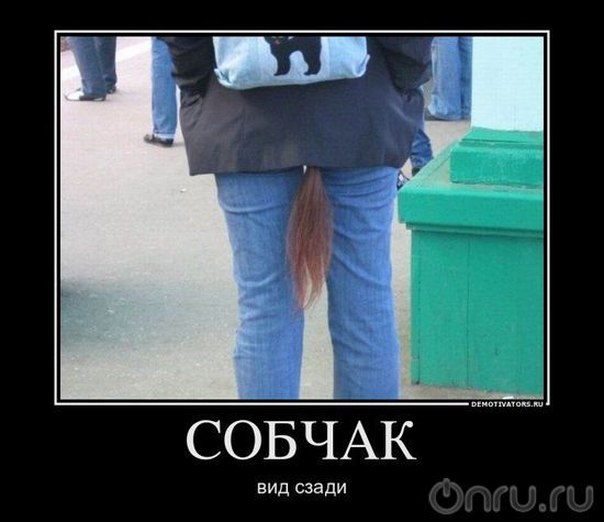 Анекдоты про ксобчак Анекдоты про ксобчак