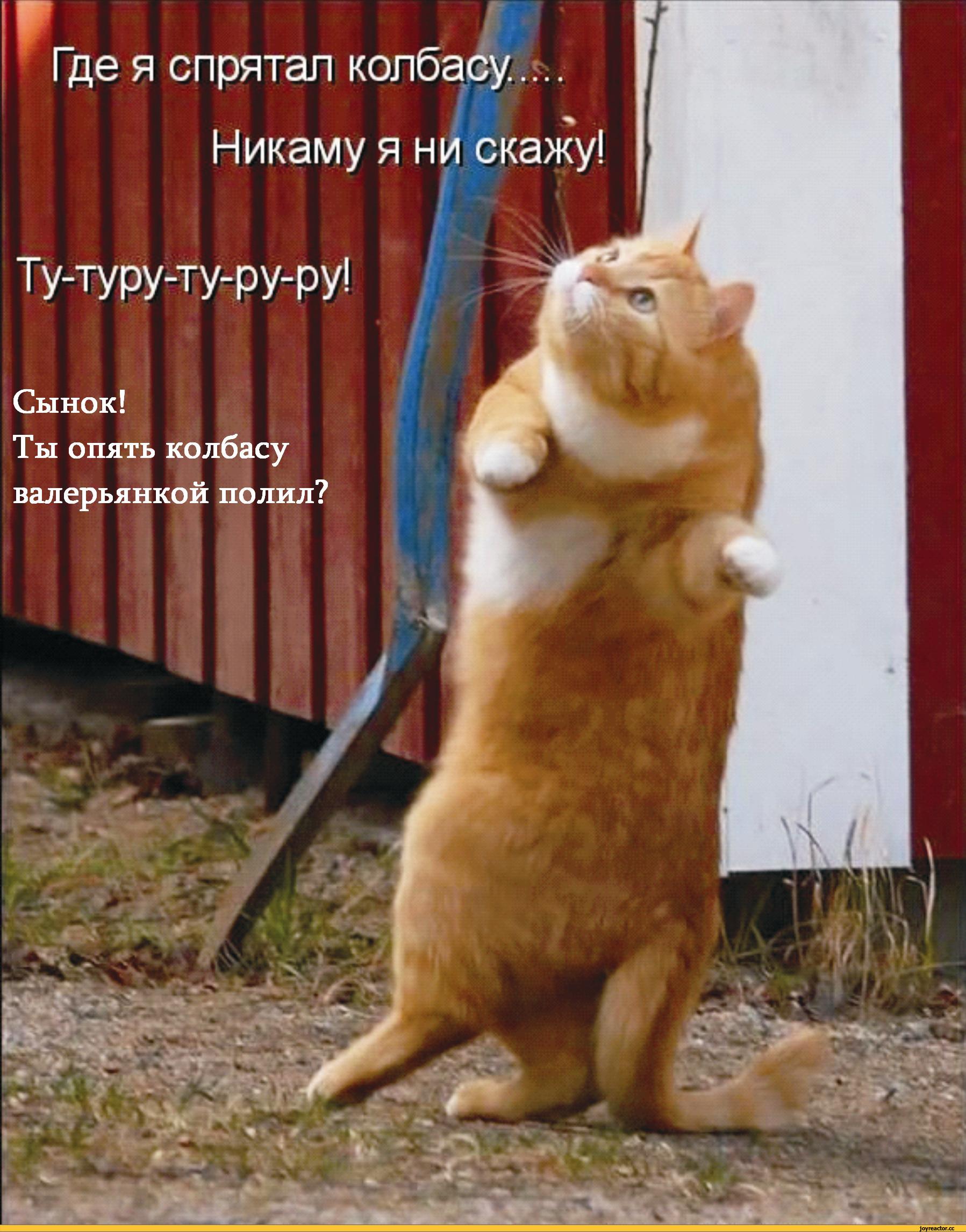 d5ba48ec6e21b5cc6903d8c1d8aee1c5_s-11104