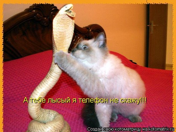 Как сделать щекотно Как сделать щекотно