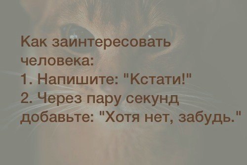 Статус чтобы заинтересовать девушек Статус чтобы заинтересовать девушек