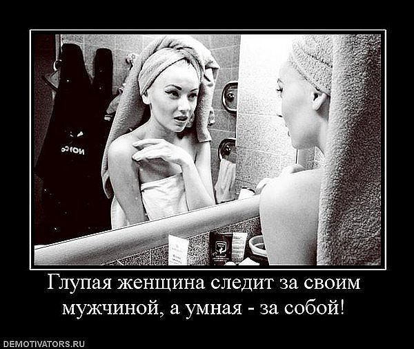 Купить пластырь собачья кожа от 120р Как приготовить жареные маслята Женские советы