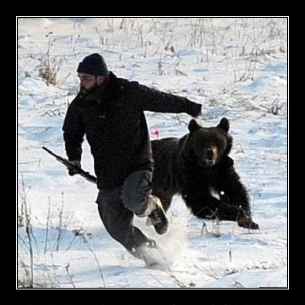 Похожее изображение