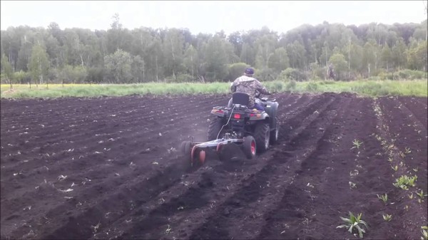 Квадроцикл пашет огород Квадроцикл пашет огород