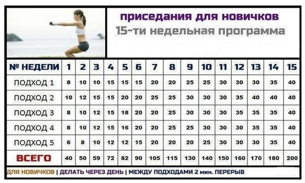 За сколько дней можно накачать ягодицы в домашних условиях За сколько дней можно накачать ягодицы в