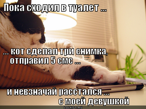 Почему не могу сходить по маленькому в туалет Почему не могу сходить по маленькому в туалет