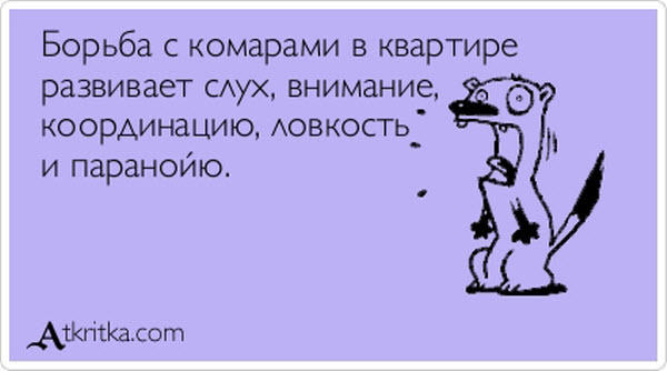 С одним комаром афоризмы С одним комаром афоризмы