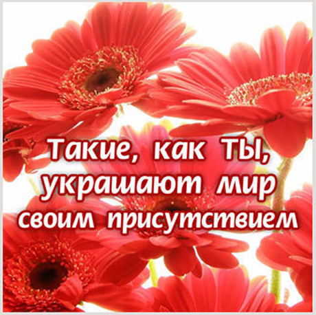 Ласковые слова с днем рождения девушке Ласковые слова с днем рождения девушке