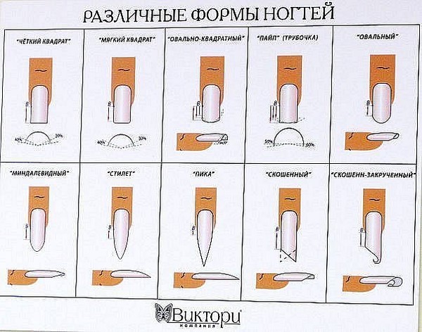 Различные формы ногтей Различные формы ногтей