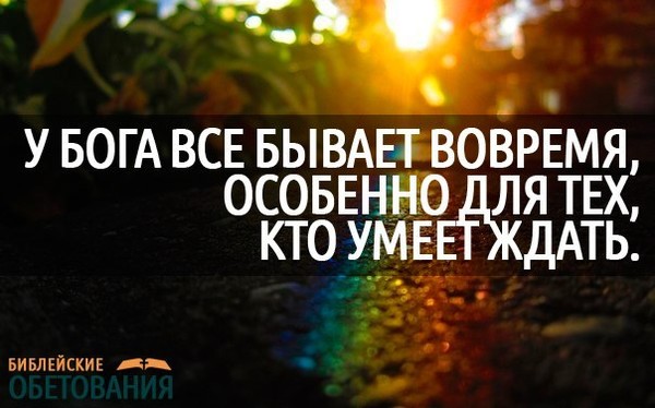 Побеждает тот кто умеет ждать цитаты Побеждает тот кто умеет ждать цитаты