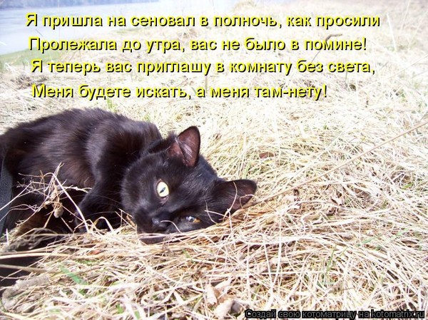 Статусы про сеновал Статусы про сеновал