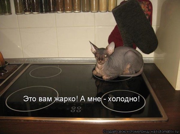 Кожа холодная а мне жарко Кожа холодная а мне жарко