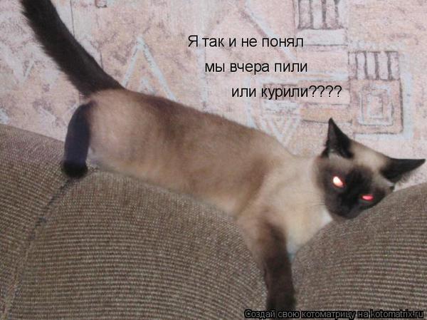 Песня напилася я пьяна скачать
