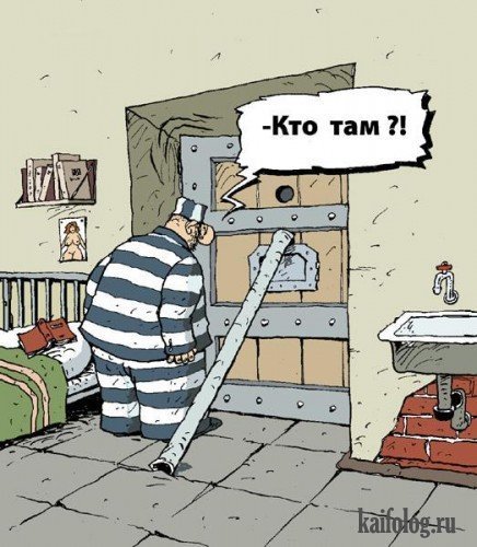Открытки кто в зоне 880